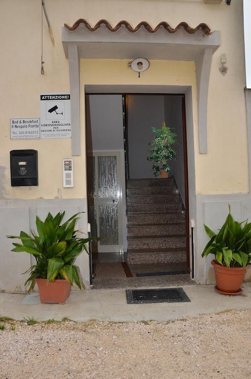 Domo - Guest-House Il Nespolo Fiorito Bed & Breakfast Orosei Exterior photo
